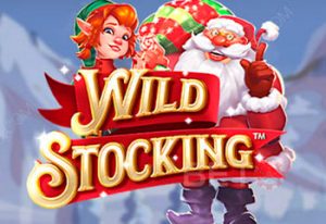Wild Stocking